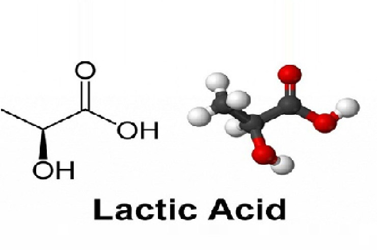 اسید لاکتیک